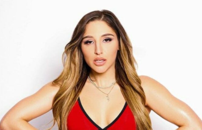 Adult Film Earnings Abella Danger Net Worth