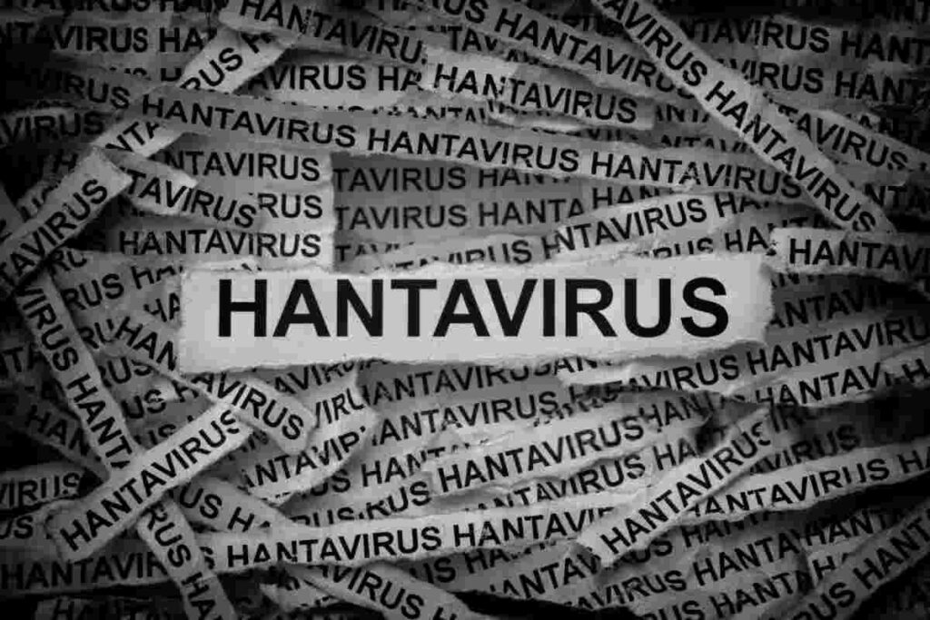 Hantavirus