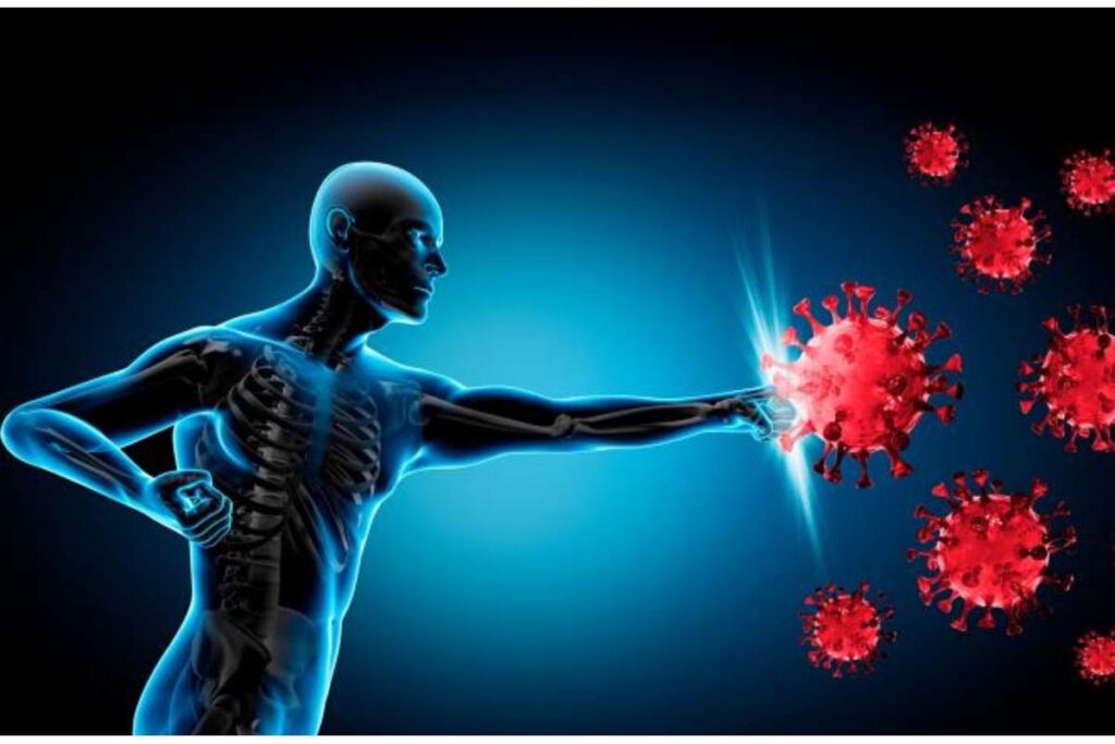 Sistema Inmunológico